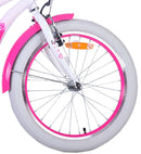 Bicicletta per Bambine 20" Freni Vbrake Cambio Shimano 7 Marce e Cavalletto con Cestino e Portapacchi Rosa