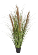 Gynerium Artificiale con Vaso Altezza 124 cm Verde