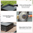 Piastra Barbecue a Gas con 2 Bruciatori Piano Antiaderente e Potenza 4.8kw Argento