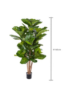Ficus Lyrata Artificiale Altezza 180 cm Verde