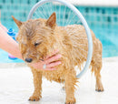 Sistema di Lavaggio per Cani Ø 31cm Wash Dog