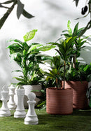 Set 4 Vasi a Cilindro Tressage Terracotta