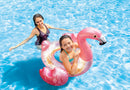 Salvagente Fenicottero Rosa Glitter 99x89x71 cm Intex A56251NP/EP
