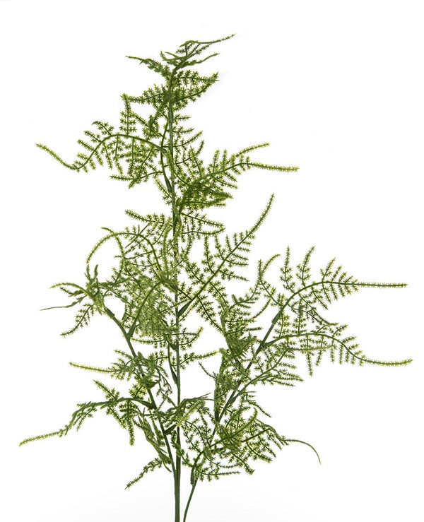 online Set 6 Rami di Asparagus Artificiale Altezza 70 cm Verde