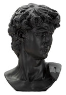 Scultura Testa Antica Nera 44x35,5x60 cm in Poliresina