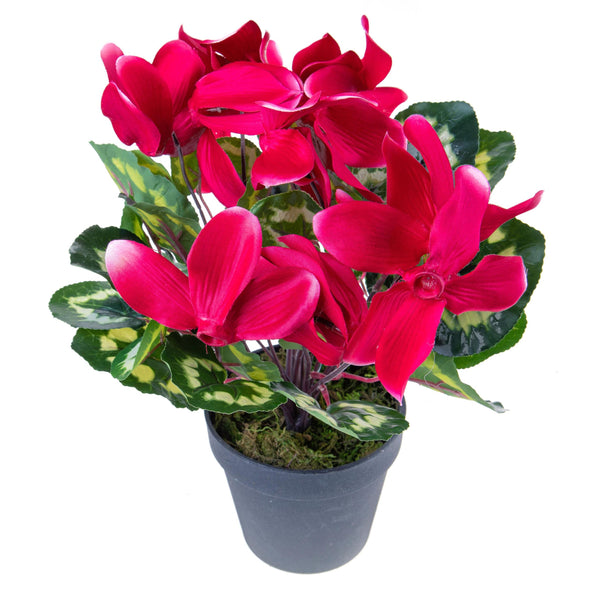 Set 2 Ciclamino Artificiale con Vaso Altezza 32 cm sconto