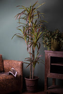 Pianta Artificiale Dracena Marginata con Vaso 190 cm 