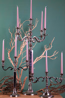 Candelabro in Metallo Composto da 5 Bracci Altezza 60 cm