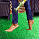 Erba Sintetica per Giardino 8 mm 1x3m Ranieri Basik Verde
