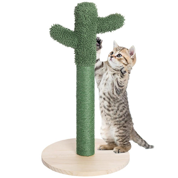 Tiragraffi Graffiatoio Forma Cactus Pianta per Gatti Animali Felini Verde acquista