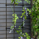 Fioriera da Giardino 40x40x175 cm con Vaso e Griglia per Rampicanti Marrone