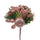 Set 24 Pick con Mela Ø10 cm Champagne