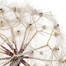 Set 2 Fiori Artificiali di Dandelion Altezza 92 cm 