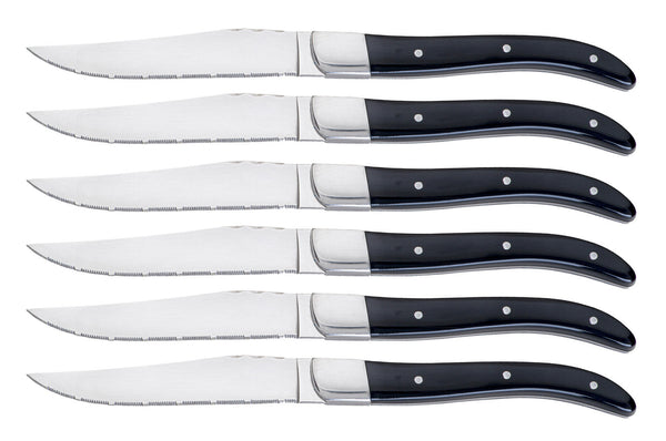 Set 6 Coltelli da Bistecca Lama Seghettata Manico in Acrilico Alì Nero online