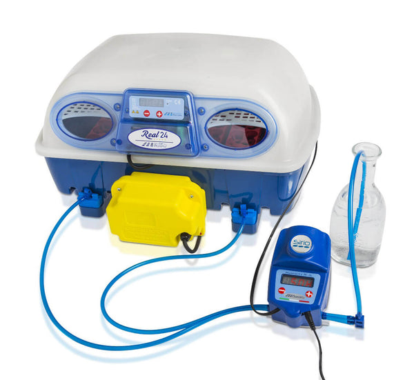 Incubatrice per Uova e Umidificatore Automatico Borotto Real 24 Expert acquista