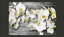Fotomurale - Orchidee Insensibili Iii Carta Da Parato Erroi
