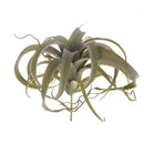 Set 2 Tillandsia Artificiale con 23 Foglie Altezza 25 cm Verde