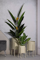 Porta Vasi Betsy Tris Ø36x56,5 cm - Ø30x48,5 cm - Ø24x37,5 cm in Ferro Crema      