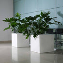 Vaso 50x50 cm in Resina Arkema Iris Vase Bianco