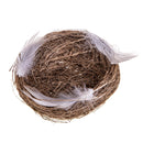 Set 12 Nidi Decorativi con Piume 13 cm 