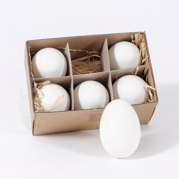 acquista Set 24 Uova di Oca Vere Misure 75x5 cm