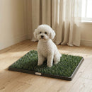 Tappetino per Cani 63x50,5x3,5 cm Vassoio con Erba Artificiale in PP e PE Verde      