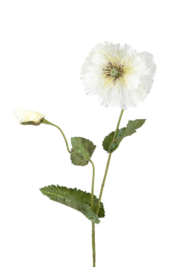 prezzo Set 6 Papaveri Artificiale a 2 Diramazioni con Fiori Altezza 73 cm