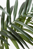 Kenzia Artificiale con 164 Foglie Altezza 175 cm Verde