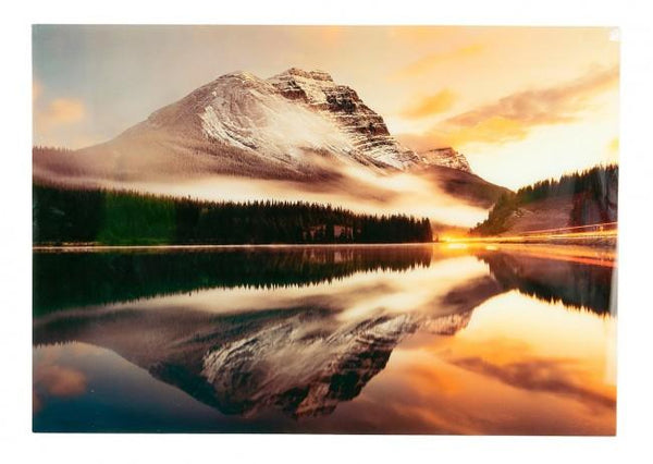 prezzo Dipinto Plexy 229 100x70 cm in Plexiglass