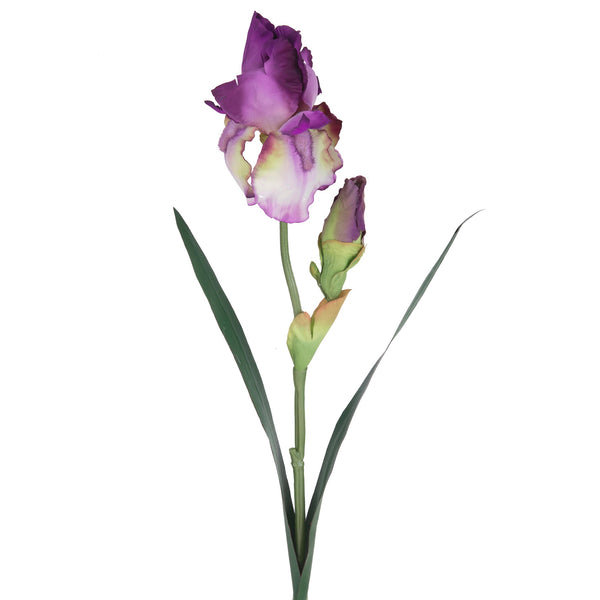 prezzo Set 6 Giaggiolo Composto da 2 Fiori Artificiali Altezza 73 cm Viola