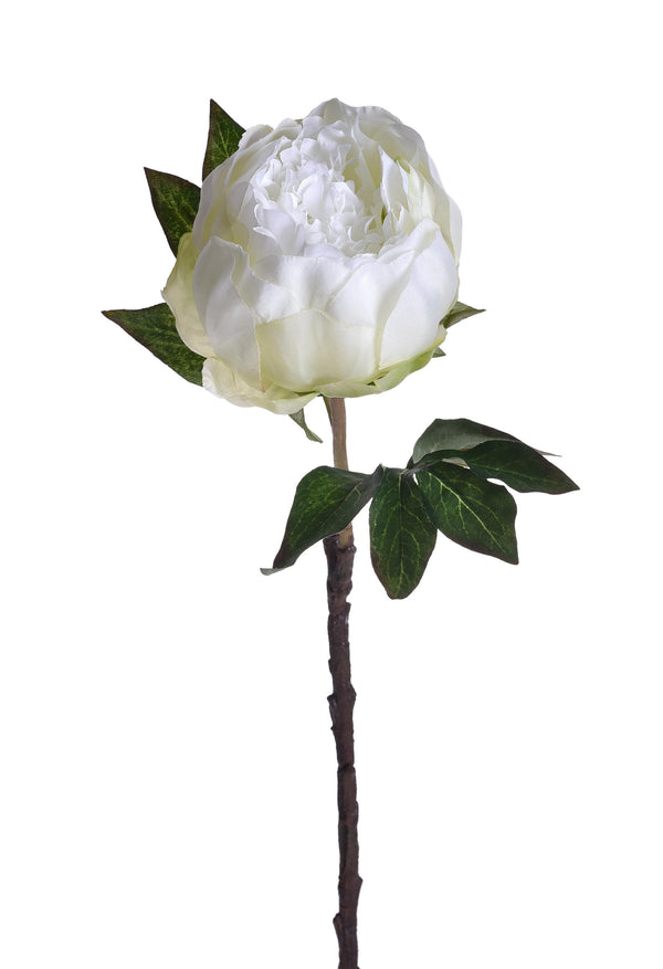 online Set 6 Peonia Artificiale Altezza 48 cm Bianco