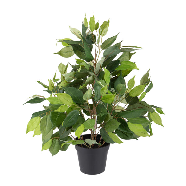 sconto Ficus Artificiale con Vaso Altezza 55 cm Verde
