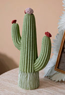 Cactus 13x7x25 cm in Resina Multicolor      