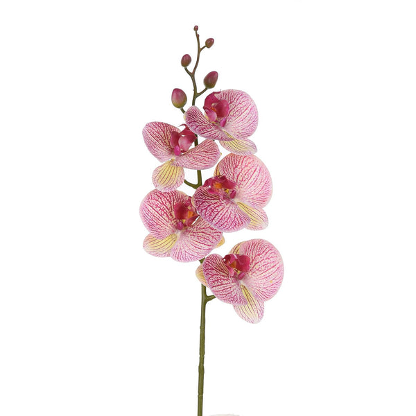 Set 3 Phalenopsis Artificiali con 5 Fiori Altezza 88 cm Viola prezzo