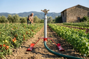 Slitta Professionale per Irrigatore con filetto 1” M Agrati 553IT in Acciaio Verniciato e Acciaio Zincato Rosso