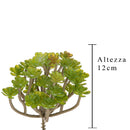 Set 9 Aoenium Succulent Artificiale Altezza 12 cm Verde