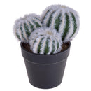 Set 4 Cactus Artificiale X 3 con Vaso Altezza 12 cm 