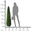 Foglie di Bosso Cono H 145 cm