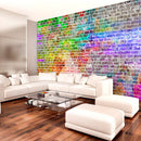 Fotomurale - Rainbow Wall Carta Da Parato Erroi