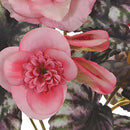 Set 6 Begonia Fiorita Artificiali Composta da 5 Fiori Altezza 28 cm Rosa