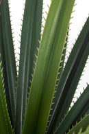Set 2 Piante Artificiali Ruscaceae Altezza 90 cm in Plastica con Vasi Verde