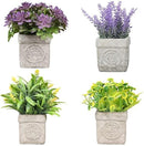 Set 4 Piante Artificiali con Vaso Vari Tipi di Piante    