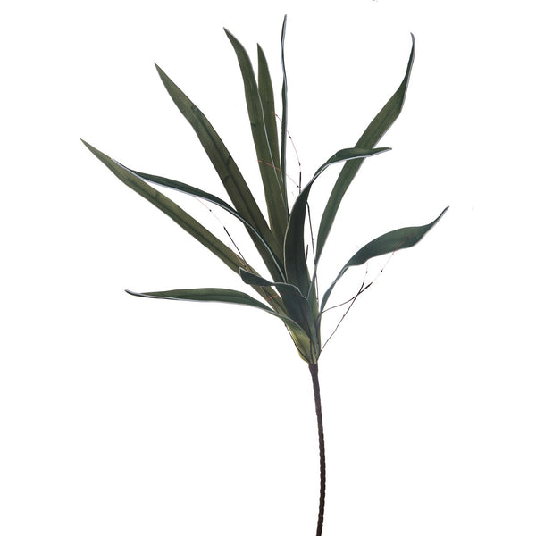 acquista Set 4 Piante Artificiali di Aloe Altezza 115 cm Verde