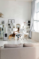 Raffrescatore a Evaporizzazione con Ghiaccio o Acqua 120W Moel 8500 Top Cooler    