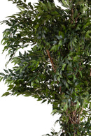 Pianta Artificiale Ficus 225 cm con Liane 5278 F con Vaso