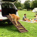Rampa Pieghevole per Cani per Auto e Letti Alti a 10 Gradini 154x40x7,5 cm con Strisce e Tappetini Antiscivolo in PP e TPR Marrone      