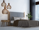 Set Lenzuola Sopra Sotto e Federe in Cotone Cioccolato Varie Misure