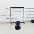 Set di 4 dischi pesi per bilanciere totale 30KG - 2x5kg e 2x10kg 