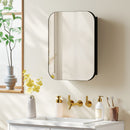 Specchio Contenitore 40,2x10,2x50,9 cm Armadietto con 2 Ripiani Regolabili in Legno e Vetro Nero      