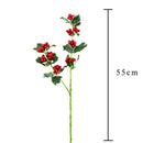 Set 12 Agrifoglio H55 cm 